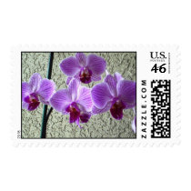 Diane's Orchids Postage postage