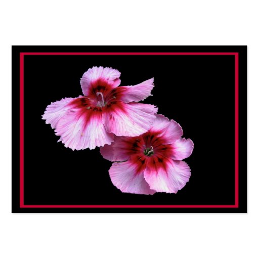 Dianthus Blossoms ATC Business Cards (front side)