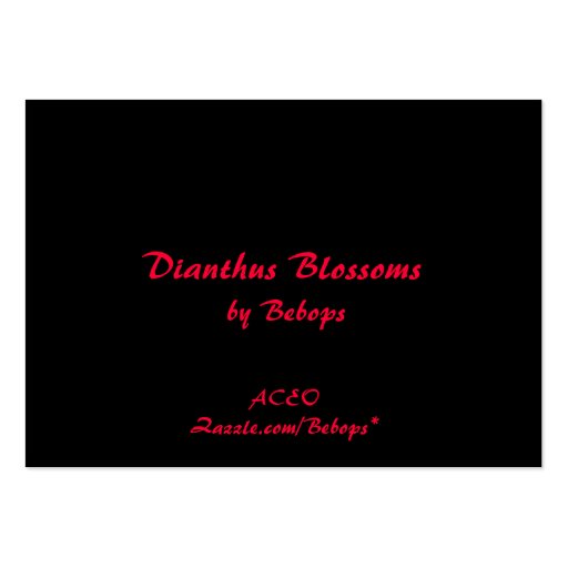 Dianthus Blossoms ATC Business Cards (back side)