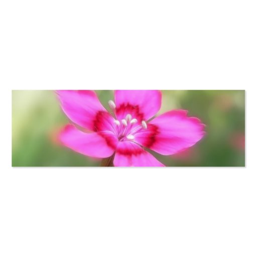 Dianthus Deltoides Flowers  - Close Up Business Cards (back side)
