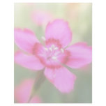 Dianthus Deltoides Flowers  - Close Up Letterhead Design
