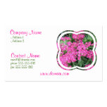 Dianthus Perennial Business Card