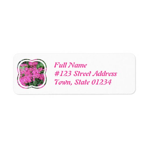Dianthus Perennial Mailing Label
