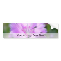 Dianthus Plumarius Flower Bumper Sticker