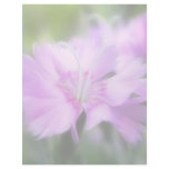 Dianthus Plumarius Flower Letterhead Design