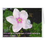 Días de Flores Greeting Card