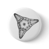 Diatom Pinback Button