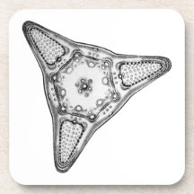 Diatom Coaster