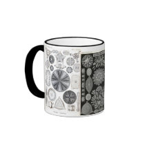 diatom, diatom, navicula coffee mugs