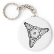 Diatom Key Chains