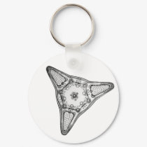 Diatom keychains