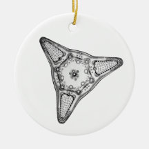 Diatom Ornament