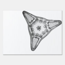 Diatom Yard Sign