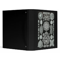 Diatoms Vinyl Binder