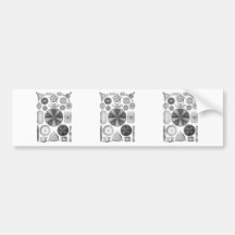 Diatoms Bumper Stickers