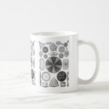Diatoms Mugs