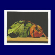 Dibble_Artworks_093_Ripe postcards