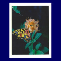 Dibble_Artworks_124_Butterfly postcards