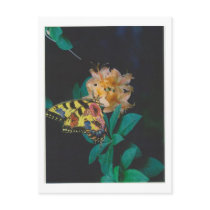 Dibble_Artworks_124_Butterfly Post Card