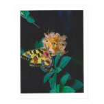Dibble_Artworks_124_Butterfly