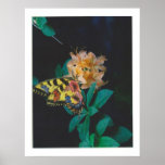Dibble_Artworks_124_Butterfly Posters