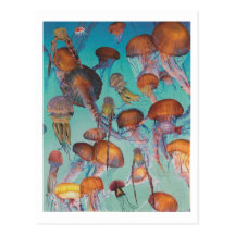 Dibble_Artworks_126_Jellies Postcard