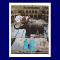 Dibble_Artworks_135_Elephant_Tricks postcards