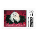 Di'Boni's Mighty Michaelangelo 6/08/06, Katiesb... postage