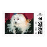 Di'Boni's Mighty Michaelangelo (Mikey), Katiesb... postage