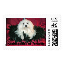 Di'Boni's Mighty Michaelangelo (Mikey) postage