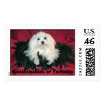 Di'Boni's Mighty Michaelangelo (Mikey) postage