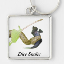 Dice Snake Keychains