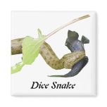 Dice Snake Magnet