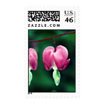Dicentra - Bleeding Hearts floral Postage stamps stamps