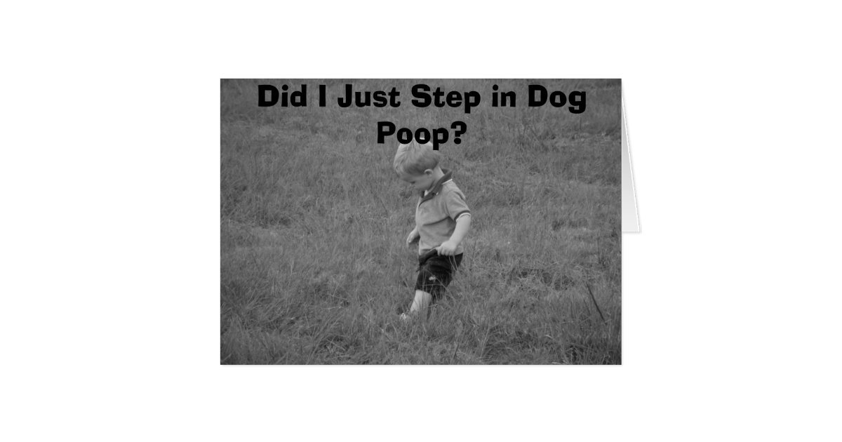 Did I Just Step in Dog Poop? Card Zazzle