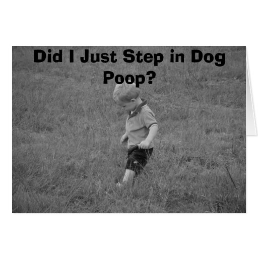 Kid Steps In Dog Poop at David Knapp blog