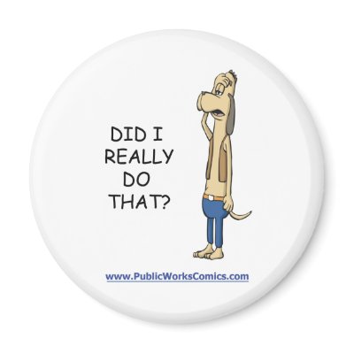 Did I Really Do That? magnets