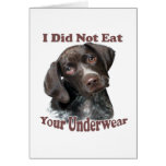 Did Not Eat Your Underwear cards