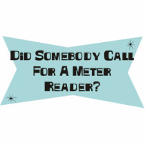 Did Somebody Call For A Meter Reader photo sculptures