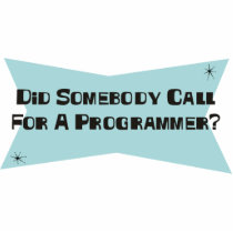 Did Somebody Call For A Programmer photo sculptures