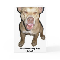 Did Somebody Say Cake? cards