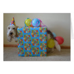 Did someone order a birthday gift? cards