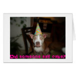 Did someone say cake? cards