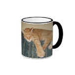 Did someone say coffee? mugs