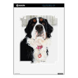 Did Someone Say Dinner? iPad 2 Decal