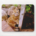 Did someone say 'Mouse'? mousepads