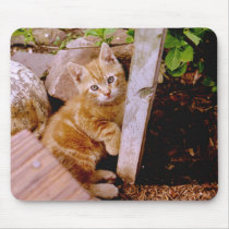 Did someone say 'Mouse'? Mouse Pad