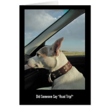 Did Someone Say "Road Trip?" Greeting Cards