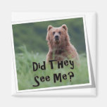Did They See Me? Magnet