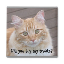 Did you buy my treats? Cat magnet by ggbythebay Did you buy my treats? Cat magnet